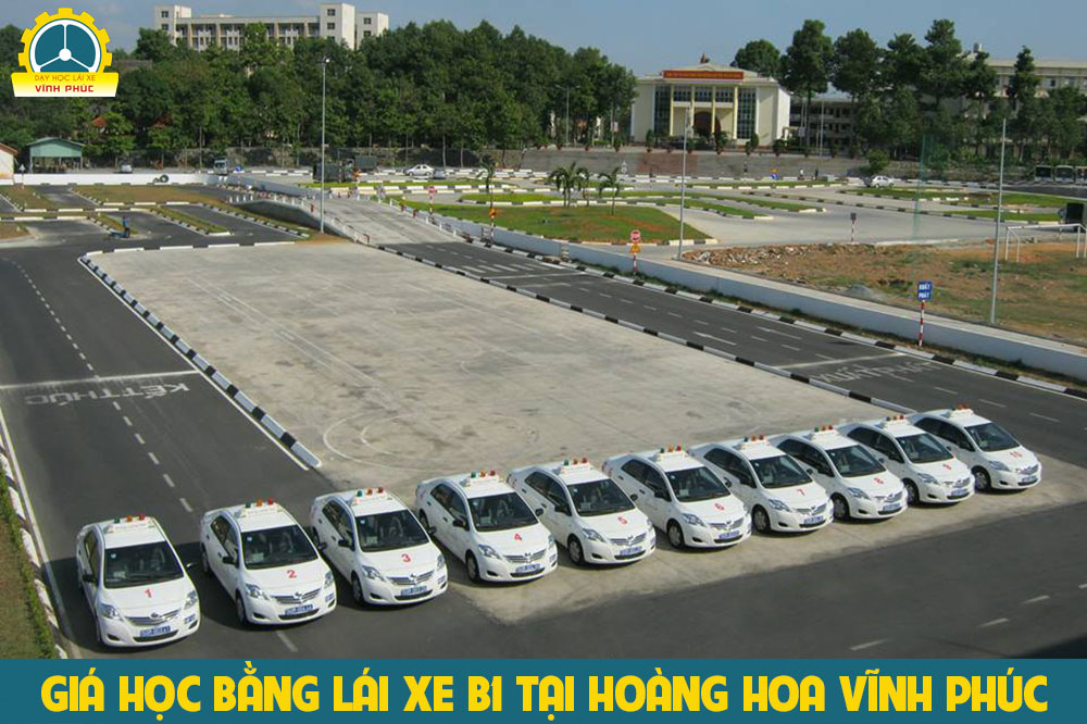 Gía học bằng lái xe B1 tại Hoàng Hoa Vĩnh Phúc